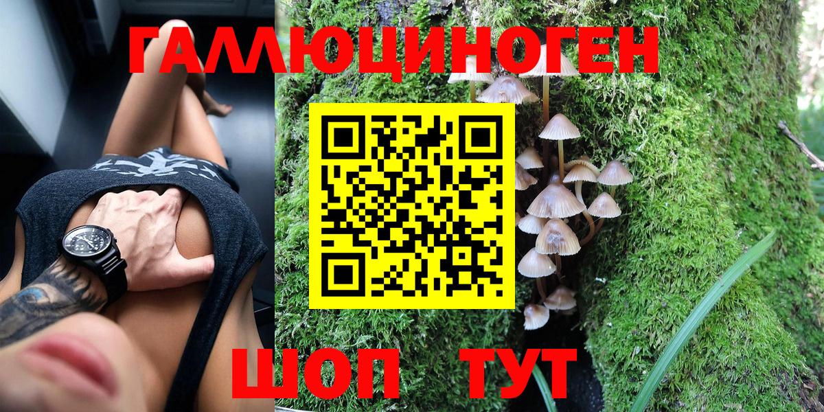 Псилоцибиновые грибы Psilocybine cubensis Котовск